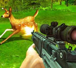 Deer Hunter